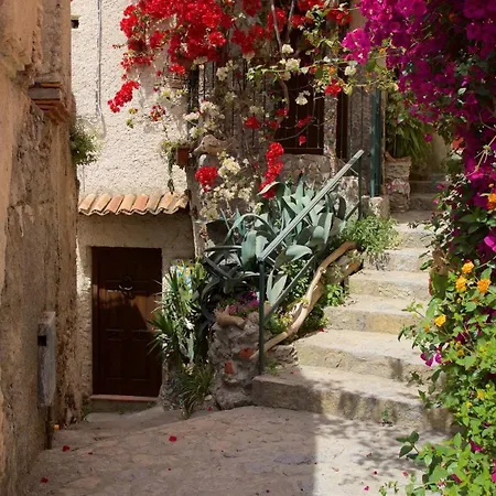 The Lemon Tree House * Scalea