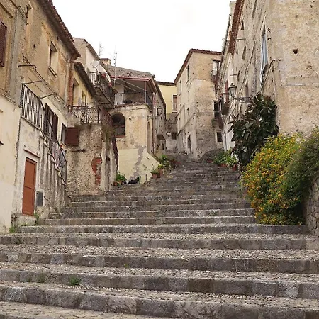 The Lemon Tree House