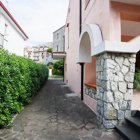 The Lemon Tree House