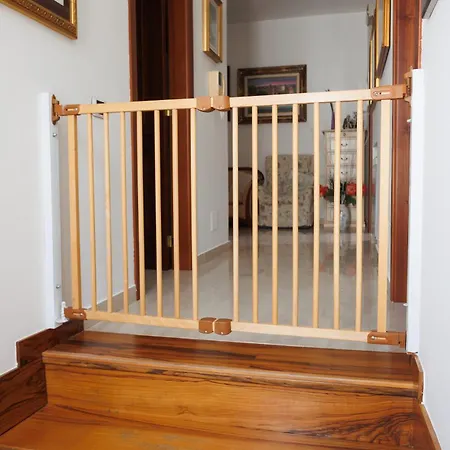 The Lemon Tree House *