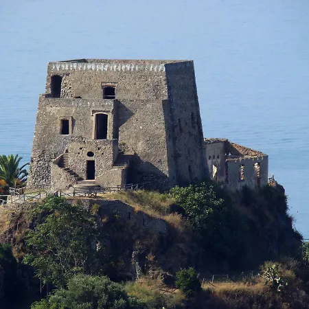 The Lemon Tree House *