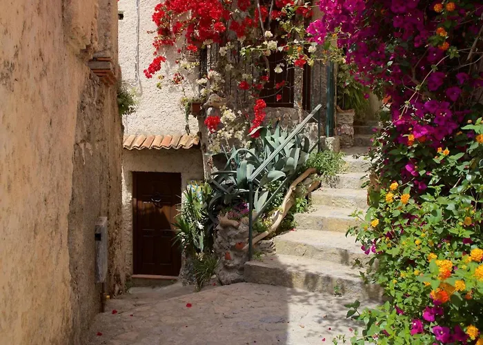 The Lemon Tree House * 斯卡莱阿