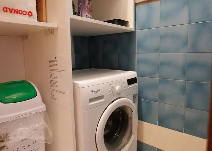 The Lemon Tree House 斯卡莱阿