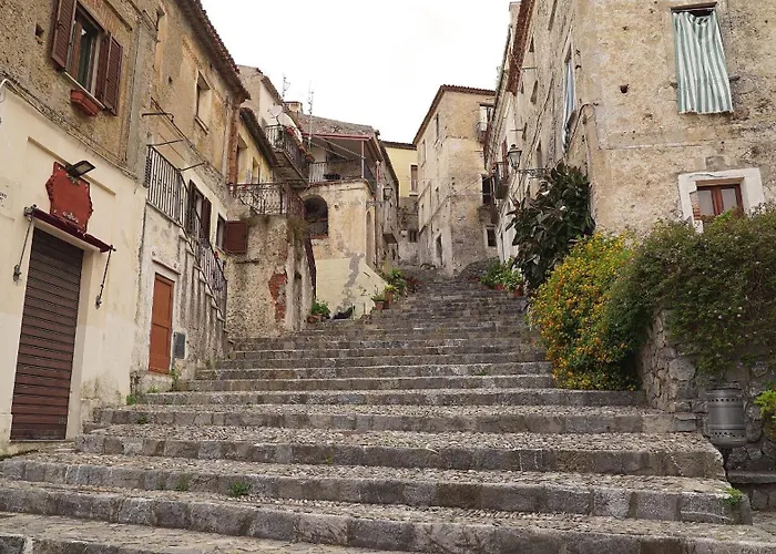 The Lemon Tree House