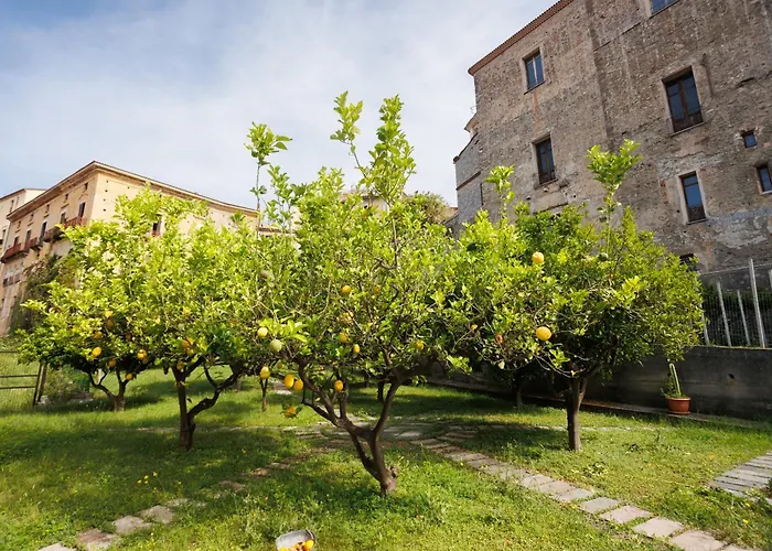 公寓 The Lemon Tree House *