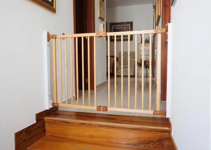 The Lemon Tree House *