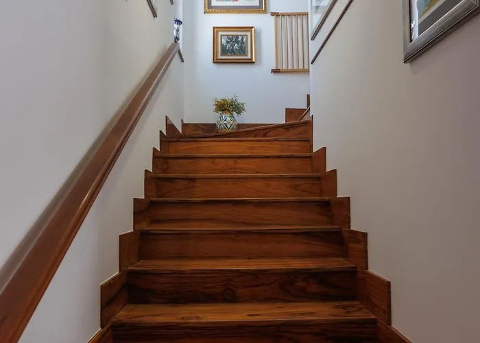 The Lemon Tree House 斯卡莱阿