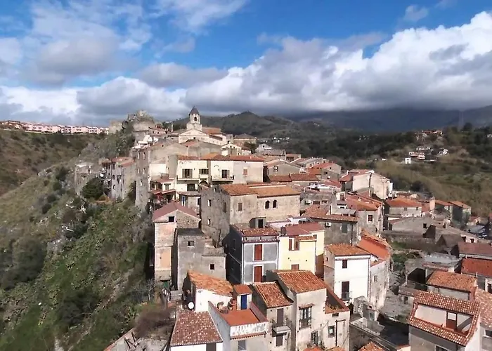 The Lemon Tree House * 斯卡莱阿