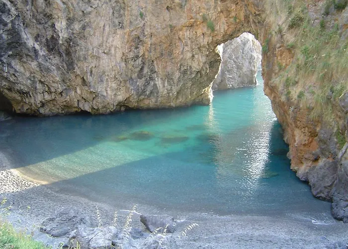 The Lemon Tree House 斯卡莱阿