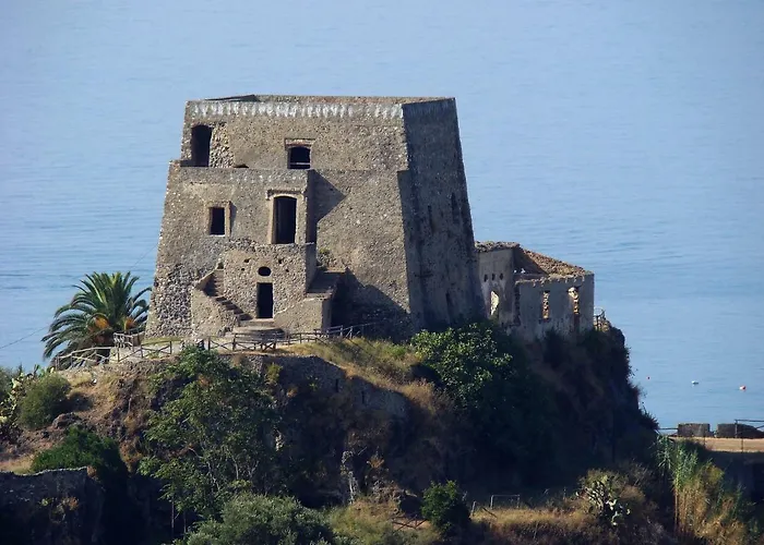 The Lemon Tree House *